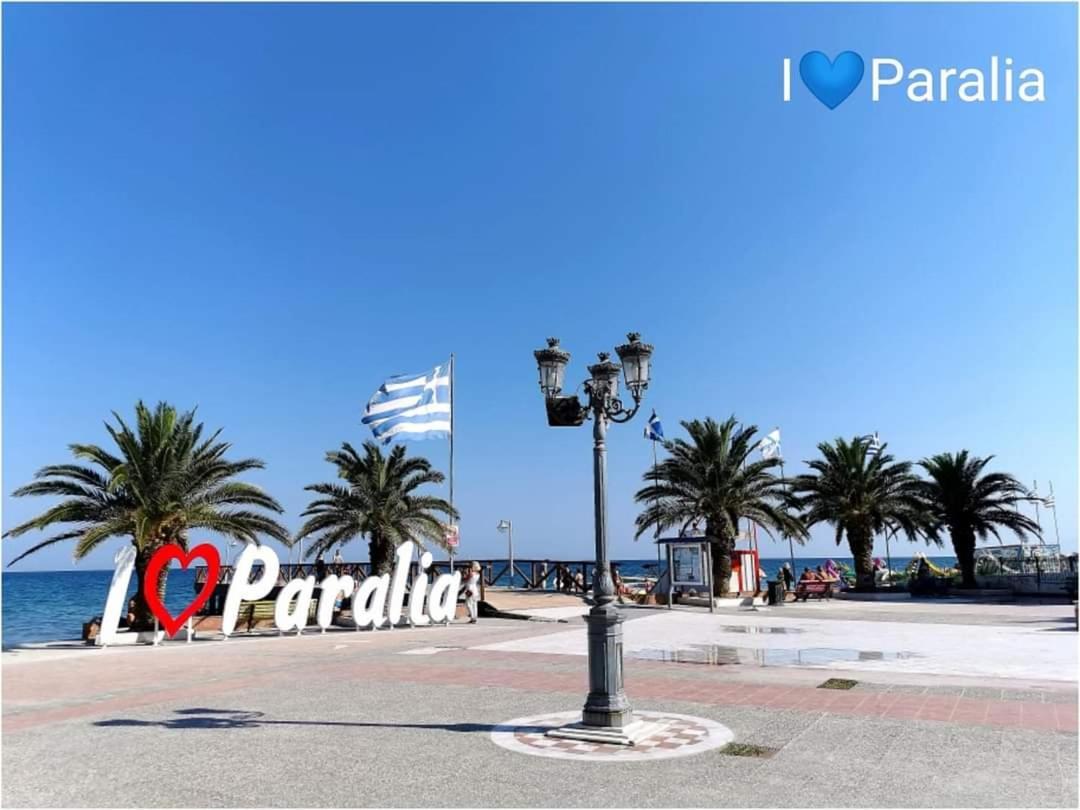 Apartmani Vesna Luxury Ap 5 & 6 Paralia Bagian luar foto